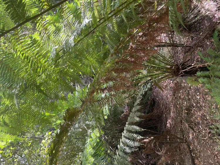 Sixth view of Homely land listing, 142448/1 Lakeside Drive, Acacia Hills TAS 7306