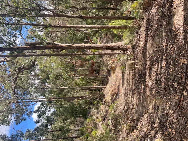 Seventh view of Homely land listing, 142448/1 Lakeside Drive, Acacia Hills TAS 7306