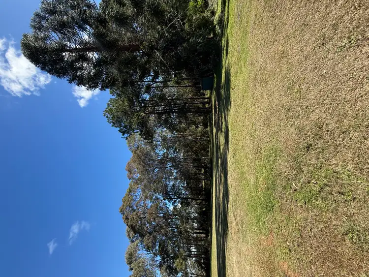 Fourth view of Homely rural property listing, 31 Blackadder Road, Corindi Beach NSW 2456
