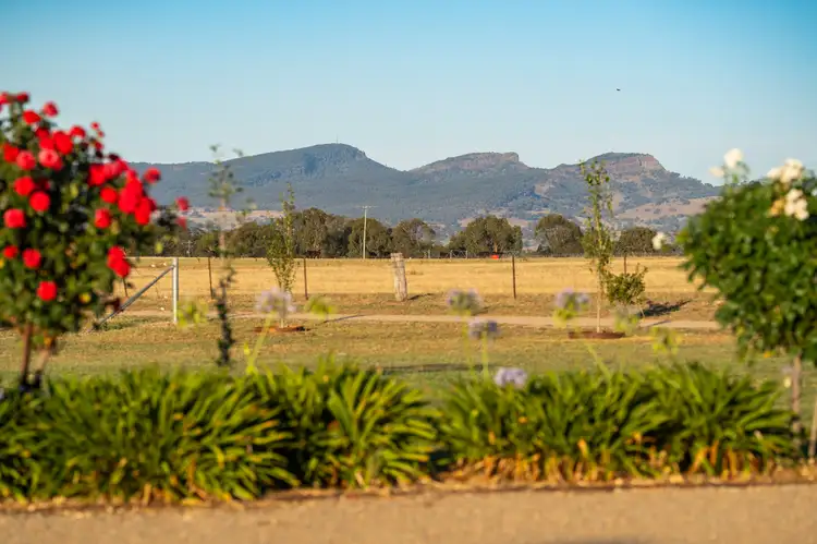 Fourth view of Homely rural property listing, 464 Dights Forest Road, Jindera NSW 2642