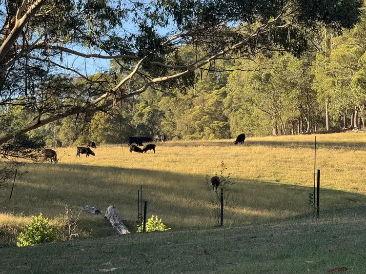 Third view of Homely rural property listing, Lot 1 (22) Dunphy Creek Road, Buckland VIC 3740