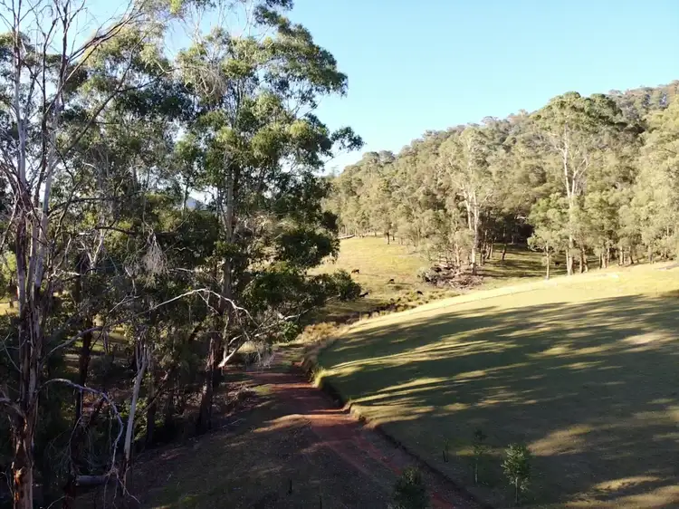 Sixth view of Homely rural property listing, Lot 1 (22) Dunphy Creek Road, Buckland VIC 3740