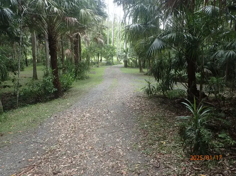 685 Bagotville Road, Bagotville NSW 2477