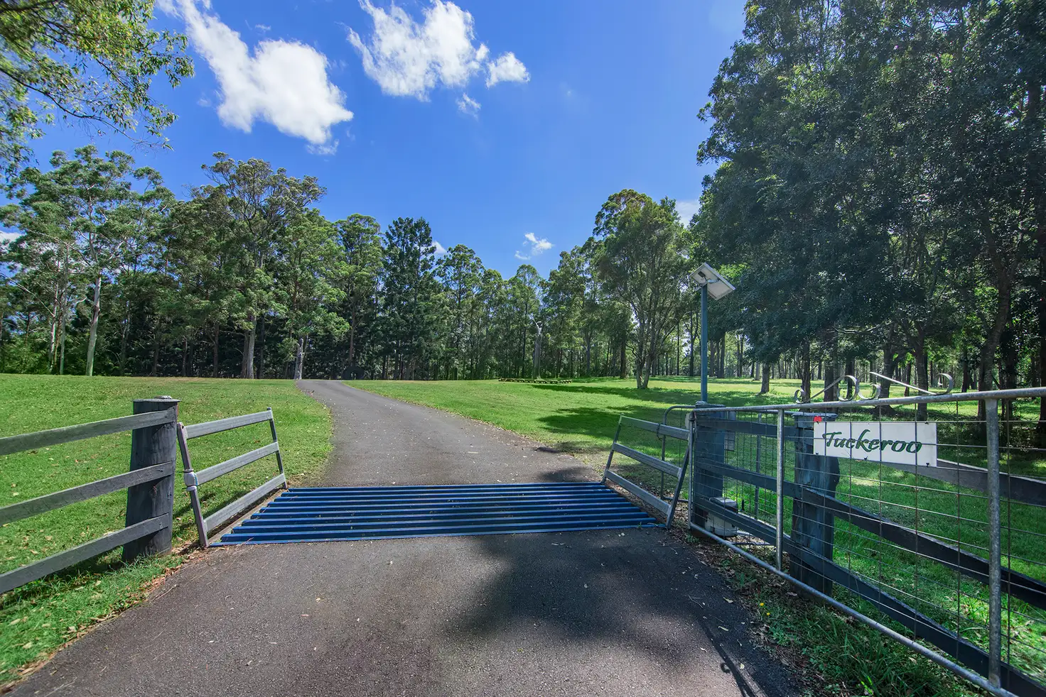 Main view of Homely rural property listing, 3277 Beechmont Rd, Witheren QLD 4275