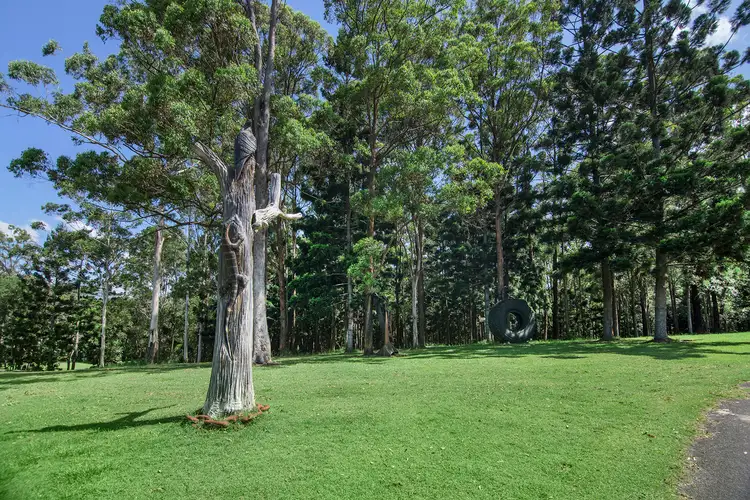 Fourth view of Homely rural property listing, 3277 Beechmont Rd, Witheren QLD 4275