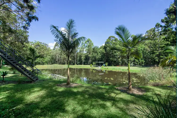 Fifth view of Homely rural property listing, 3277 Beechmont Rd, Witheren QLD 4275