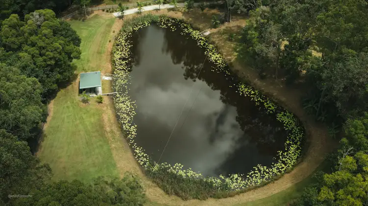 Sixth view of Homely rural property listing, 3277 Beechmont Rd, Witheren QLD 4275