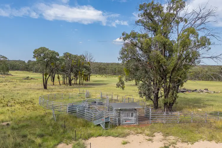 Fifth view of Homely rural property listing, 739 Stannifer Road, Stannifer NSW 2369