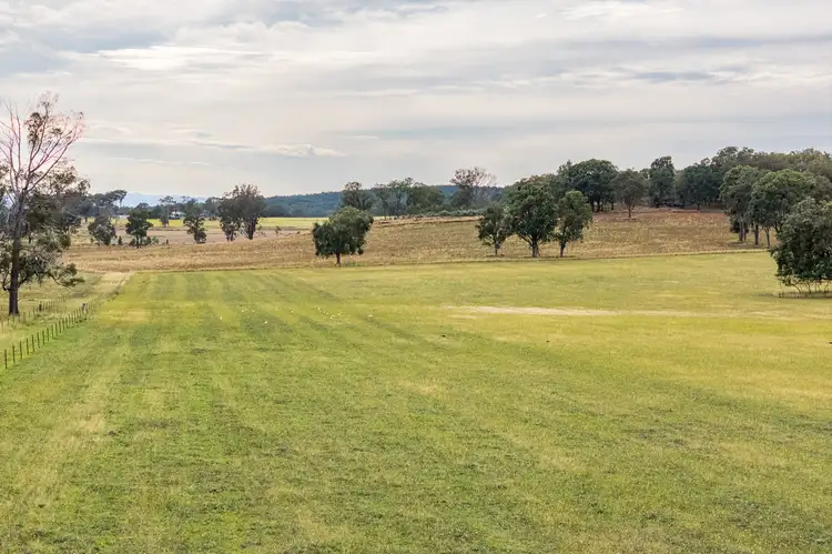 Sixth view of Homely rural property listing, 739 Stannifer Road, Stannifer NSW 2369