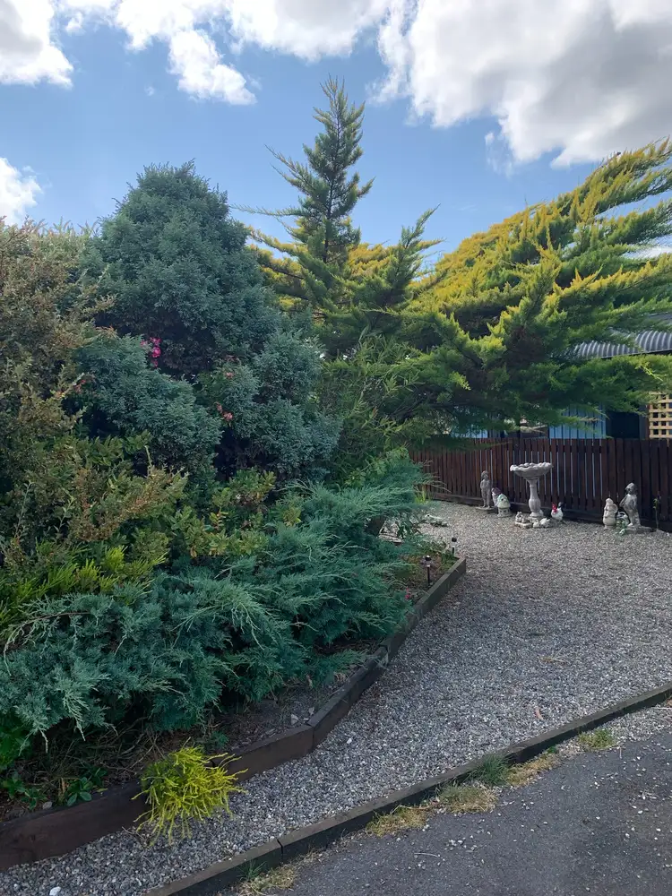 Second view of Homely house listing, 22 Leventhorpe Street, Zeehan TAS 7469
