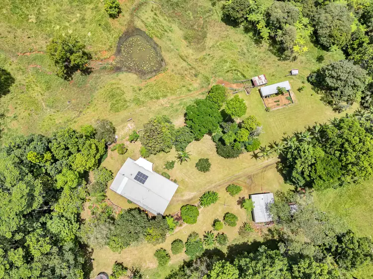 Second view of Homely rural property listing, 1463 Millaa Millaa Malanda Road, Tarzali QLD 4885