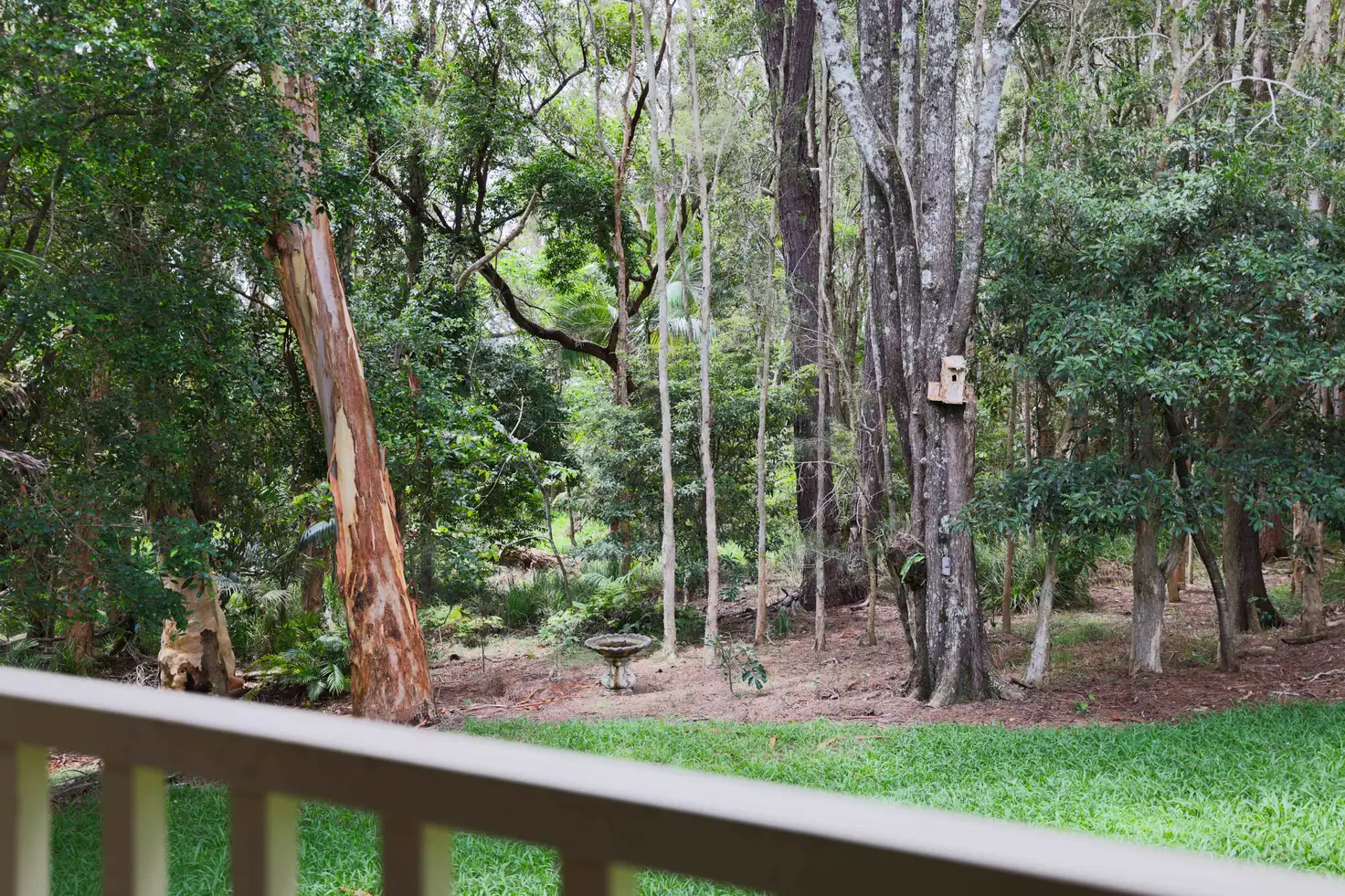 Main view of Homely house listing, 8 Brolga place, Coffs Harbour NSW 2450