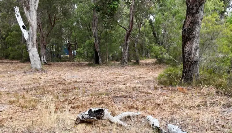 Second view of Homely land listing, 10 Anning Court, Walpole WA 6398