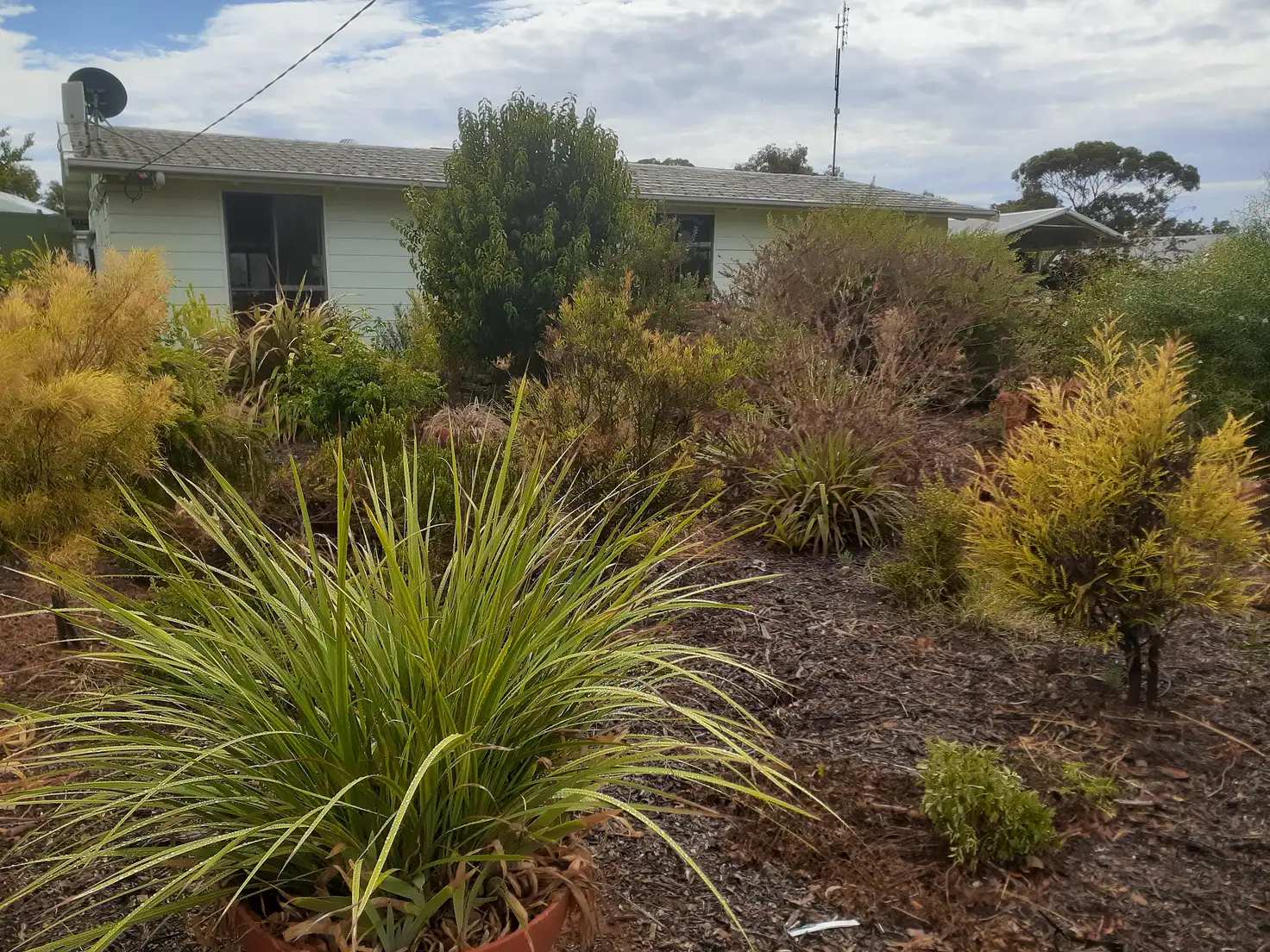 Main view of Homely house listing, 10 Coghill st, Manangatang VIC 3546