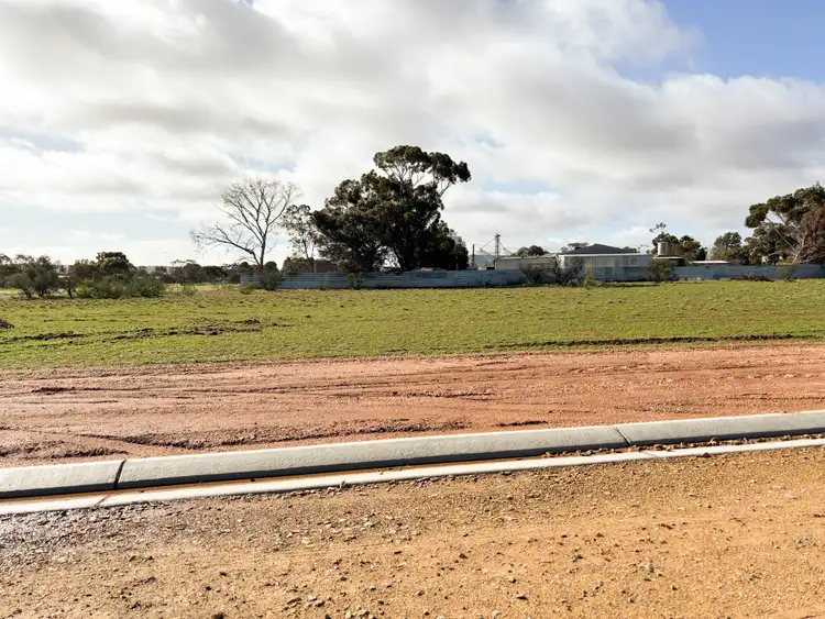 Lot 21 & 22 Manfred street, Crystal Brook SA 5523
