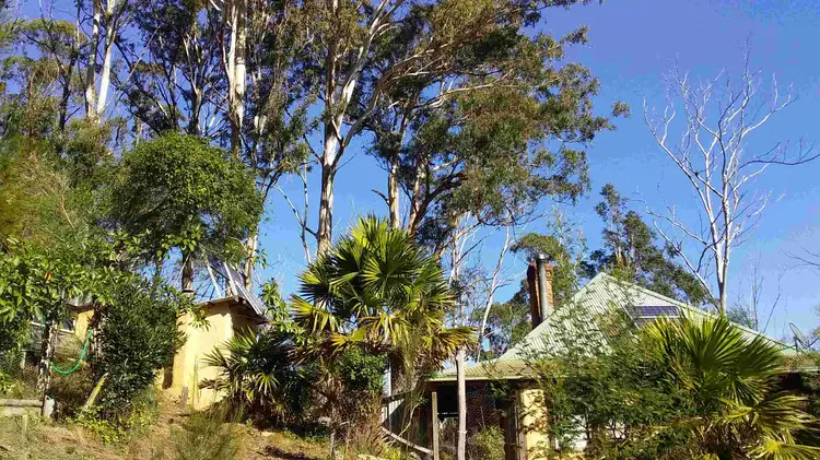 Main view of Homely rural property listing, 297 Cochranes Flat Rd, Kiah NSW 2551