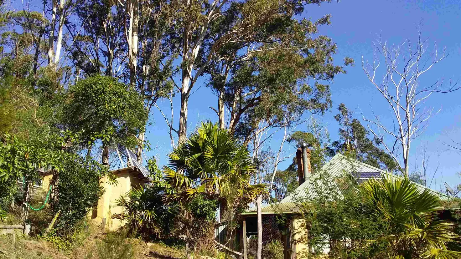 Main view of Homely rural property listing, 297 Cochranes Flat Rd, Kiah NSW 2551