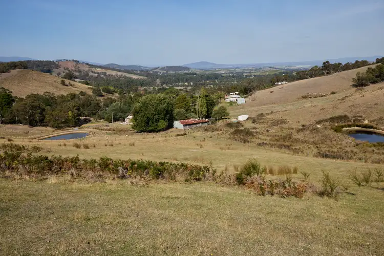 Fifth view of Homely rural property listing, 2029 Melba Highway, Dixons Creek VIC 3775