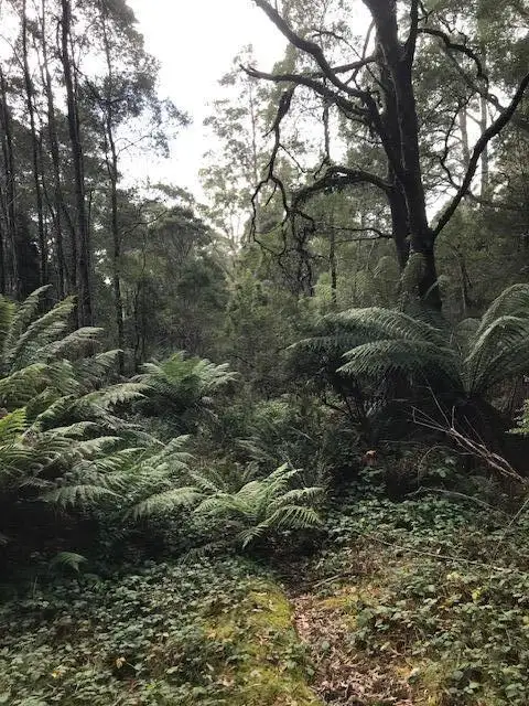 Main view of Homely land listing, 2 Murchison Highway, Rosebery TAS 7470