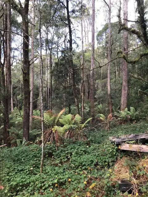 Second view of Homely land listing, 2 Murchison Highway, Rosebery TAS 7470