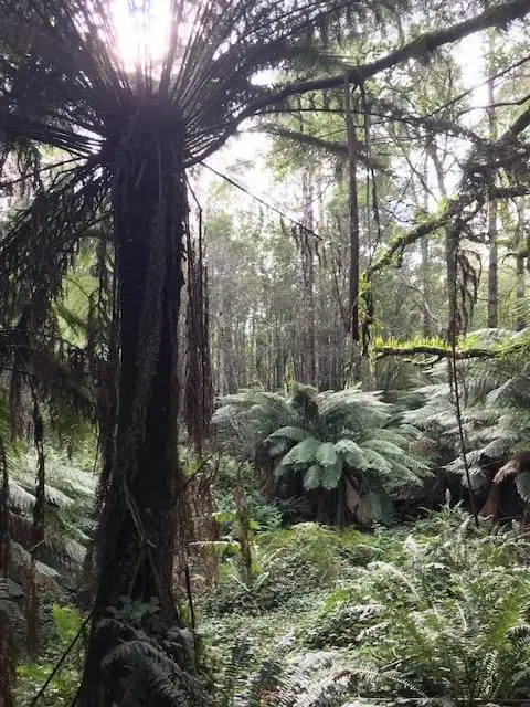 Third view of Homely land listing, 2 Murchison Highway, Rosebery TAS 7470