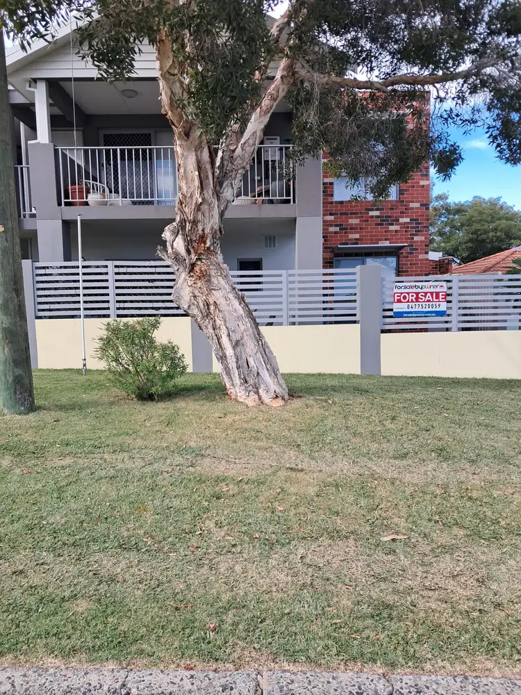 Main view of Homely unit listing, 2/41 Wheyland Street, Willagee WA 6156