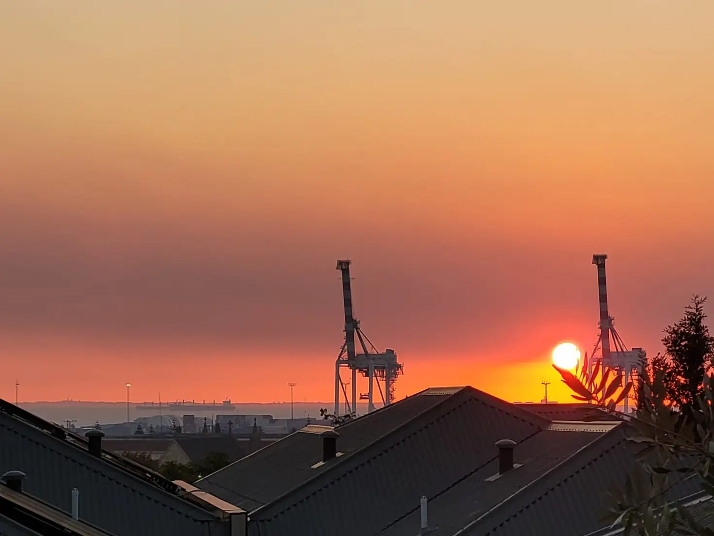 Main view of Homely studio listing, 110/8 Ord Street, Fremantle WA 6160