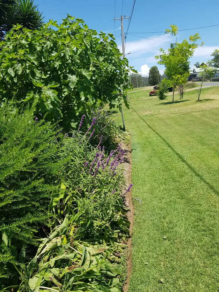 Fourth view of Homely house listing, 3772 The Bucketts Way, Krambach NSW 2429