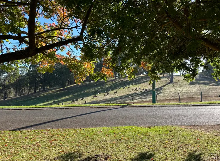 Second view of Homely house listing, 76 Forrest Street, Bridgetown WA 6255
