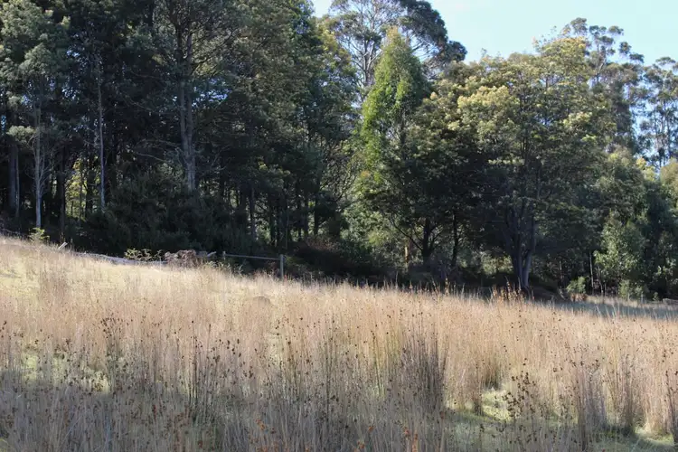 Fifth view of Homely land listing, 78 Grahams Road, Black Hills TAS 7140