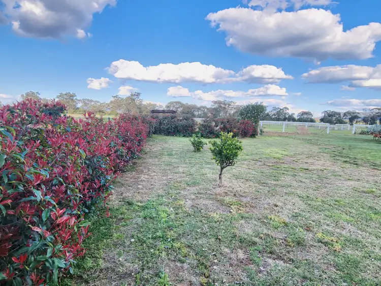 164 Voca Rd, Curlewis NSW 2381