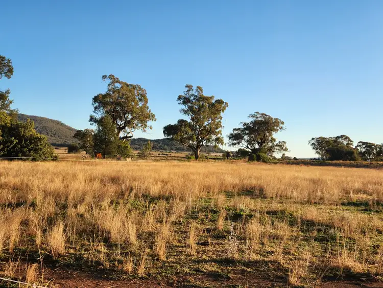 Main view of Homely rural property listing, 164 Voca Rd, Curlewis NSW 2381