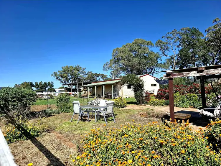 Second view of Homely rural property listing, 164 Voca Rd, Curlewis NSW 2381