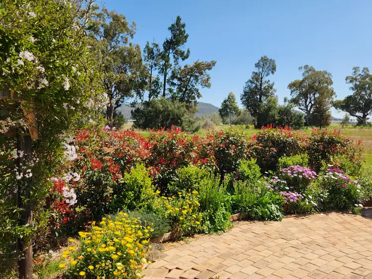 Fourth view of Homely rural property listing, 164 Voca Rd, Curlewis NSW 2381