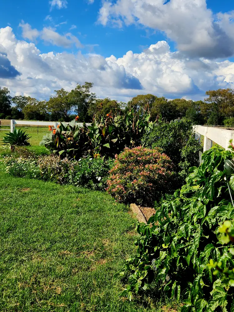 Fifth view of Homely rural property listing, 164 Voca Rd, Curlewis NSW 2381