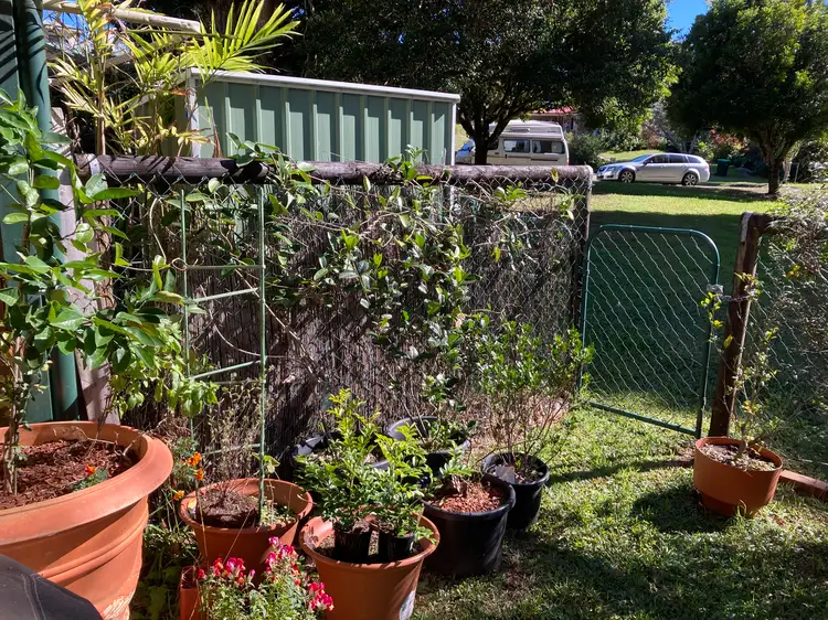 Fourth view of Homely townhouse listing, 2/13 Hakea Avenue, Maleny QLD 4552