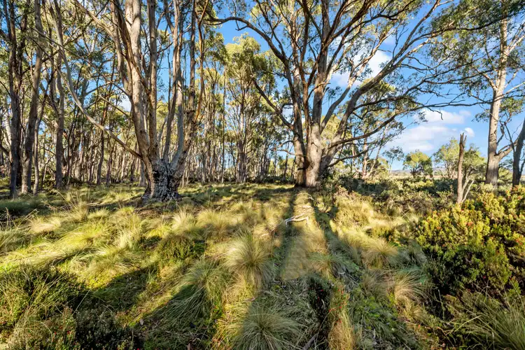 47 Woodwards Bay Road, Bradys Lake TAS 7140