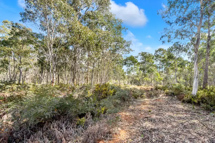 Fifth view of Homely house listing, 47 Woodwards Bay Road, Bradys Lake TAS 7140