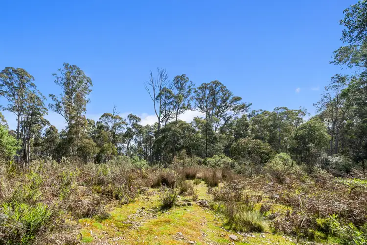Sixth view of Homely house listing, 47 Woodwards Bay Road, Bradys Lake TAS 7140