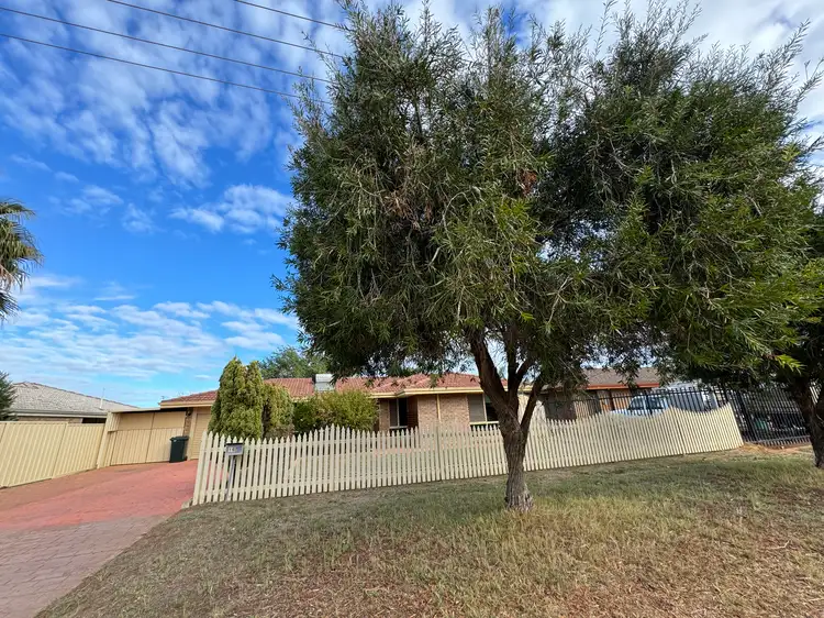 Main view of Homely house listing, 16 Archer Street, Utakarra WA 6530
