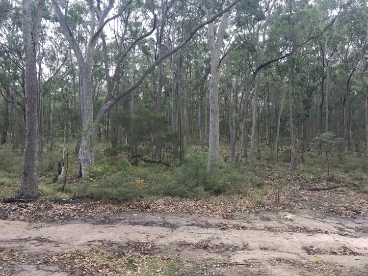 Seventh view of Homely land listing, 584 Moonabung Rd, Vacy NSW 2421