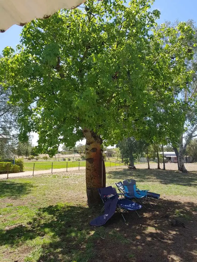 Seventh view of Homely rural property listing, 29 Albert Street, Tambo QLD 4478