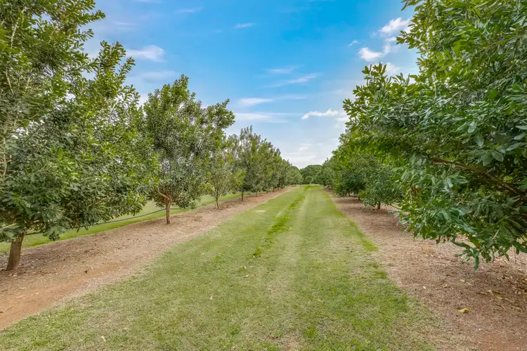 Fourth view of Homely rural property listing, 775 Burnett Heads Road, Rubyanna QLD 4670