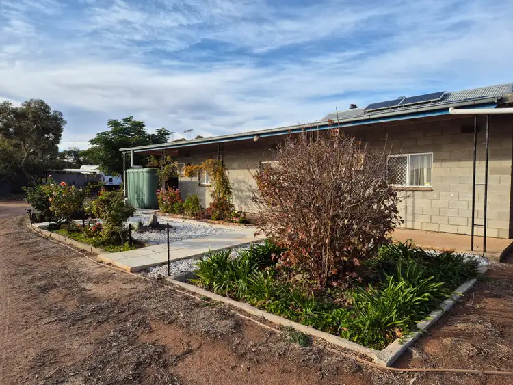 Main view of Homely rural property listing, 2 Ohlmeyer Rd, Waikerie SA 5330