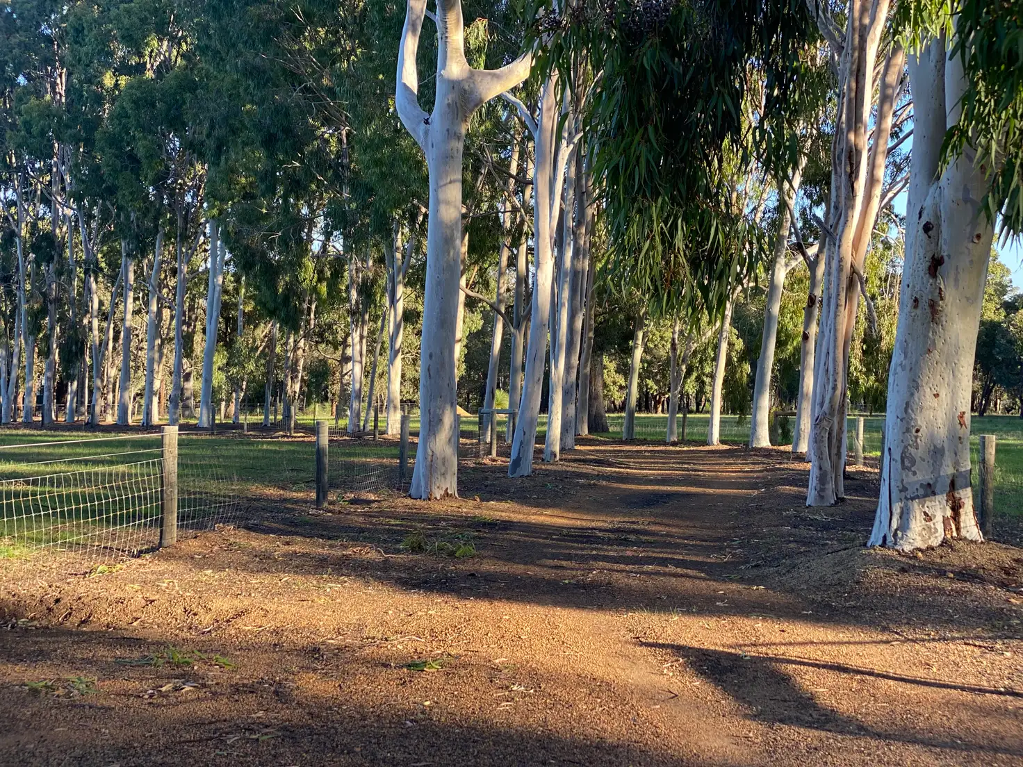 Main view of Homely land listing, Proposed Lot 104, 1180 Needham Road, Wooroloo WA 6558