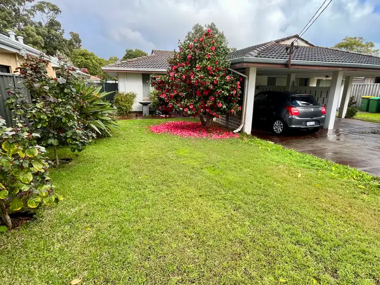 Main view of Homely semi-detached listing, 14a Ochiltree Way, Kardinya WA 6163