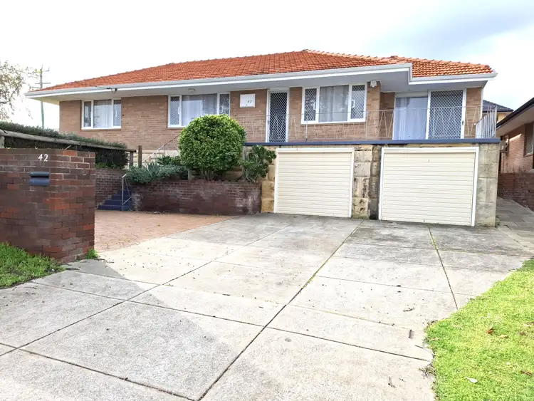 Main view of Homely house listing, 42 Alexander Street, Balcatta WA 6021