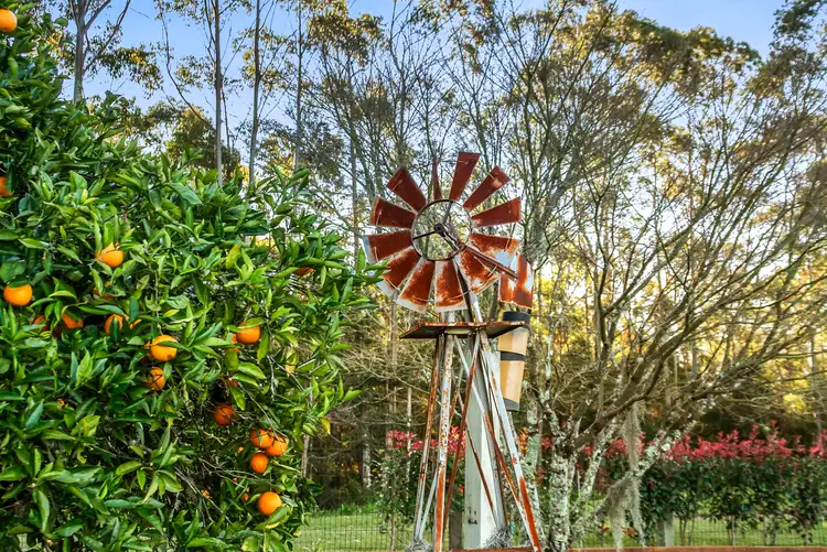 Second view of Homely rural property listing, 813 Newmans Road, Wootton NSW 2423