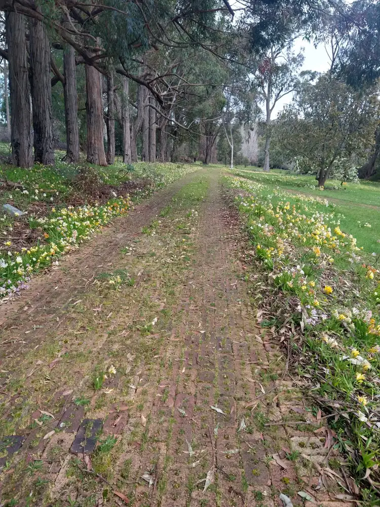 Third view of Homely rural property listing, 10 Phillips Rd, Karrakup WA 6122