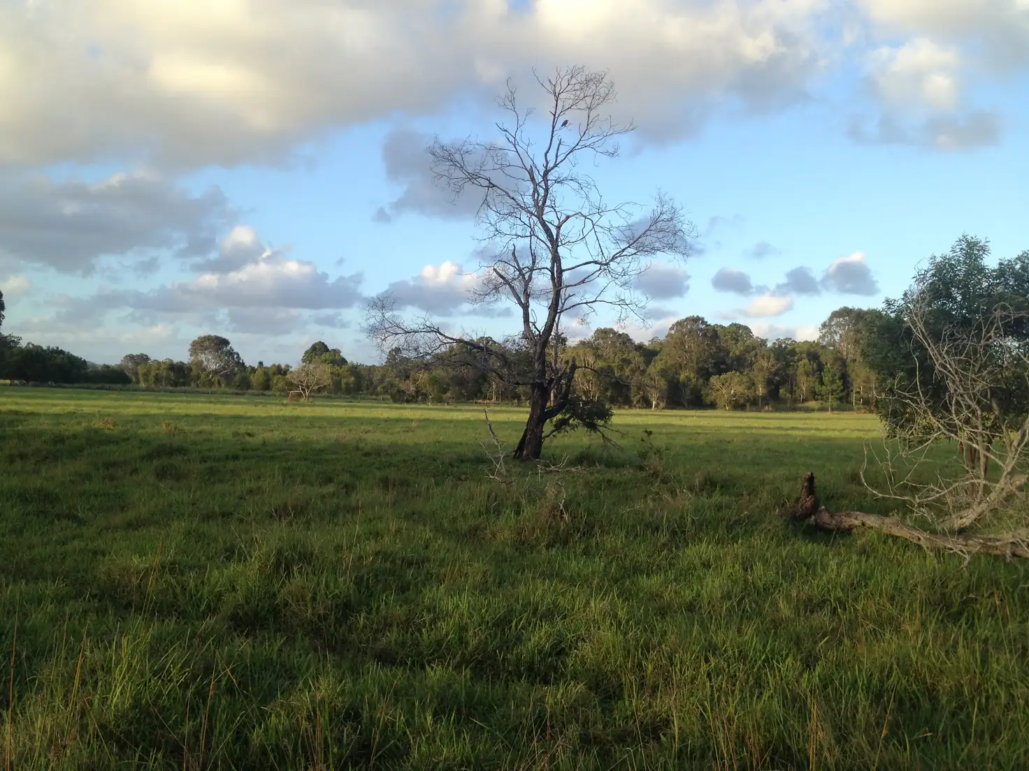 Main view of Homely land listing, Address available on request